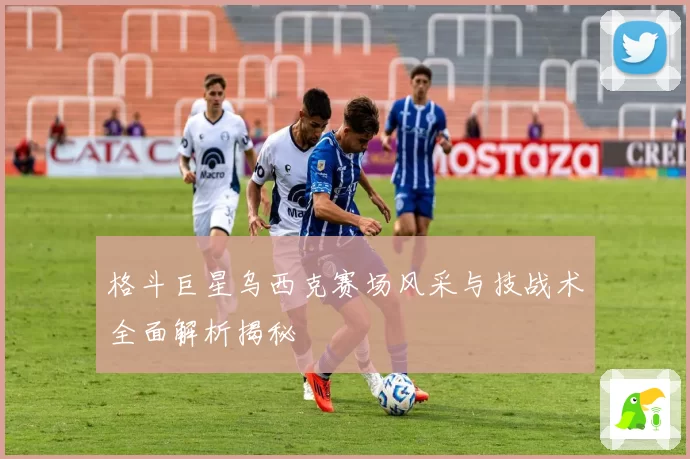 格斗巨星乌西克赛场风采与技战术全面解析揭秘