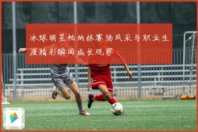 冰球明星帕纳林赛场风采与职业生涯精彩瞬间成长观察